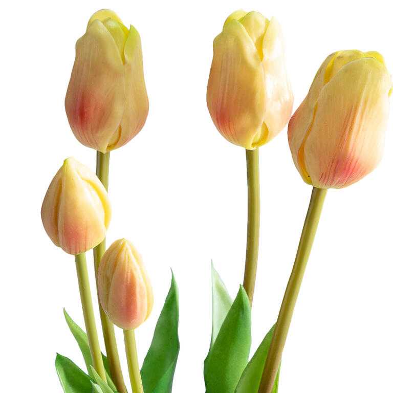 Svazek TULIPÁNY světle žluté 46 cm, 5 ks - galerie #1