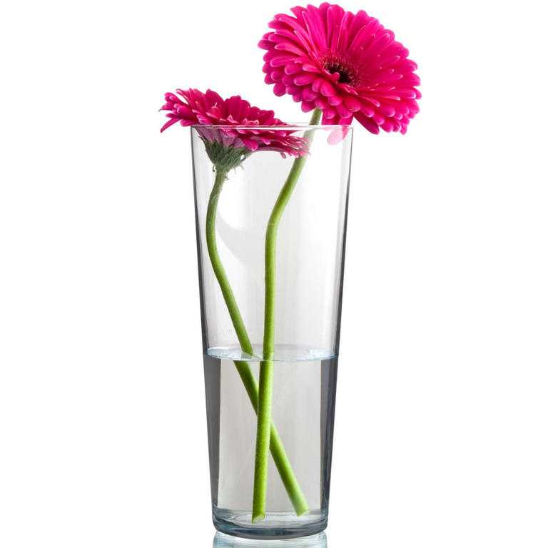 Kónická váza Flora 26 cm, BANQUET
