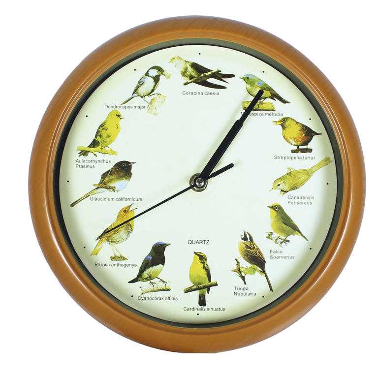 Ceas cu sunete de păsări 27,5 cm