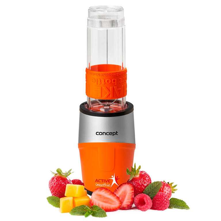 Smoothie maker Concept Active SM 3381