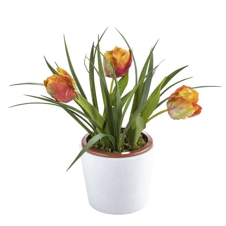 Tulipány v květináči výška 28 cm