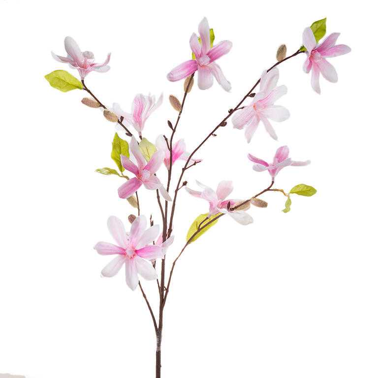 Magnolie větvička sv. růžová