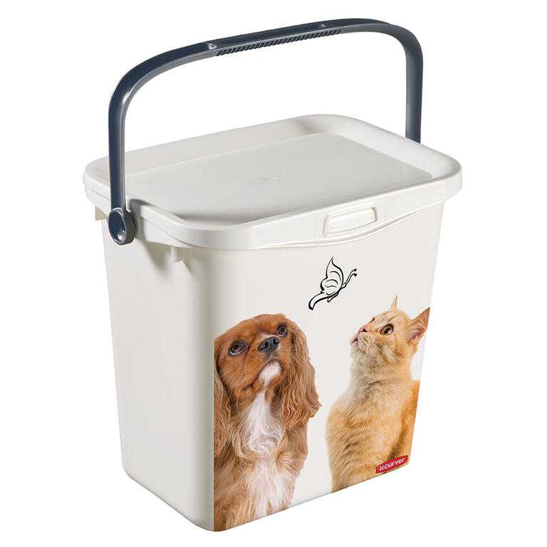 6 l