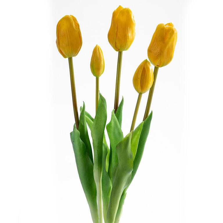 Buchet LALELE galbene, 46 cm, 5 buc