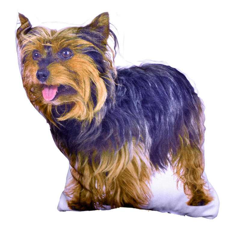 Polštářek PES 3D 35 x 25 cm