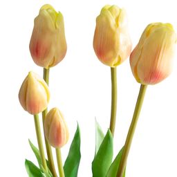 Svazek TULIPÁNY světle žluté 46 cm, 5 ks - galerie #1