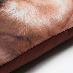 Dekorativní povlak na polštářek ZLATÝ RETRÍVR - galerie #1