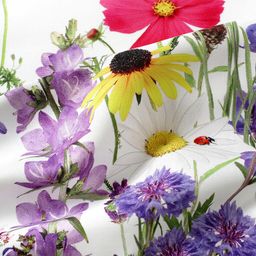 Keprová utěrka LOUKA BERUŠKA 50 x 71 cm - galerie #1