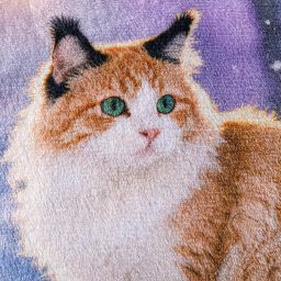 Sada 2 ks povlaků na polštářky z mikroplyše SNOW CAT 45 x 45 cm - galerie #2