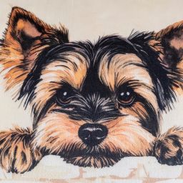 Sada 2 ks povlaků na polštářky z mikroplyše PEJSCI 45 x 45 cm - galerie #2