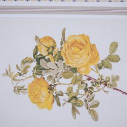 Kuchyňské utěrky ROMANTICKÁ KVÍTKA 50 x 70 cm 2 ks - galerie #3
