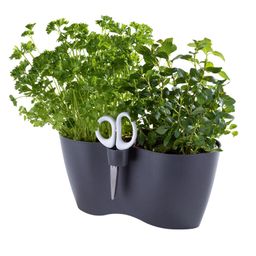 Květináč + nůžky na bylinky
