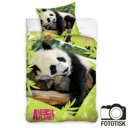 Pościel dziecięca Animal planet panda