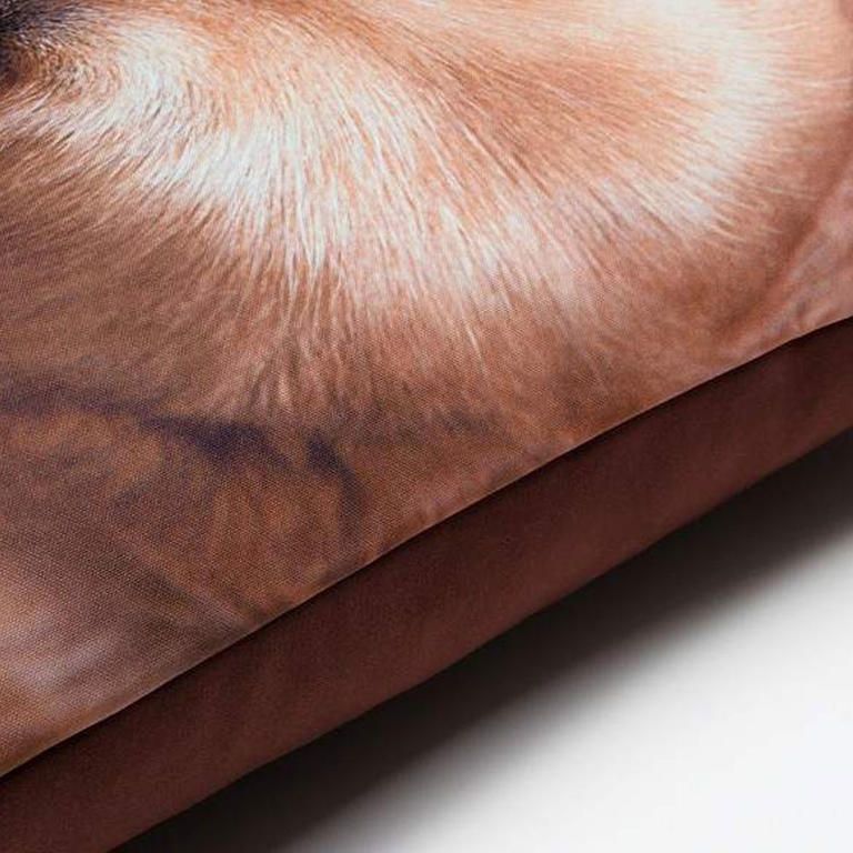 Dekorativní povlak na polštářek ZLATÝ RETRÍVR - galerie #1