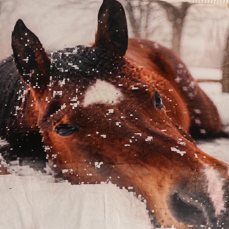 Beránková deka KŮŇ 150 x 200 cm - galerie #1