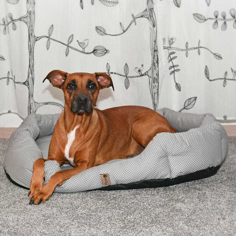 Pelíšek pro psa PUŇŤA - galerie #5
