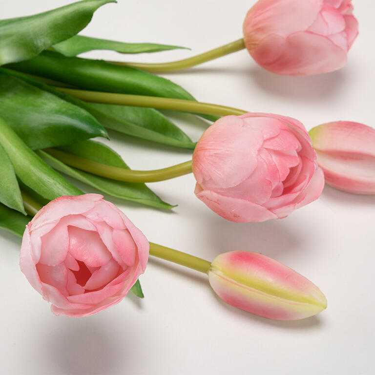 Zväzok tulipány plnokveté 39 cm, 5 ks - galéria #3