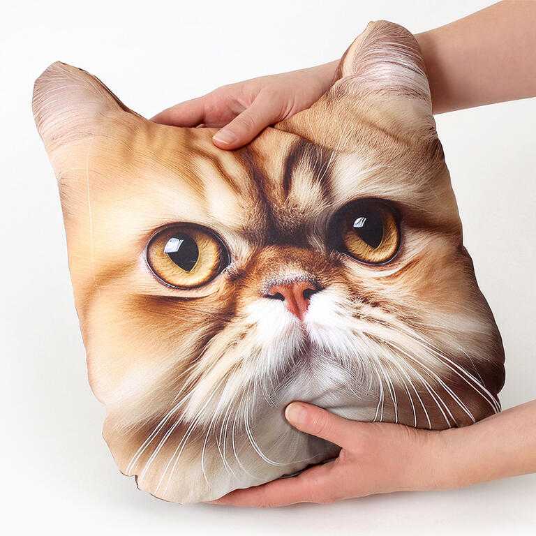 Perna modelată 3D PISICA PERSANĂ - galerie #2
