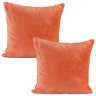 Feţe de pernuţe din micropluş coral 2 buc