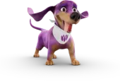 Jezevčík Robin, maskot decoDoma